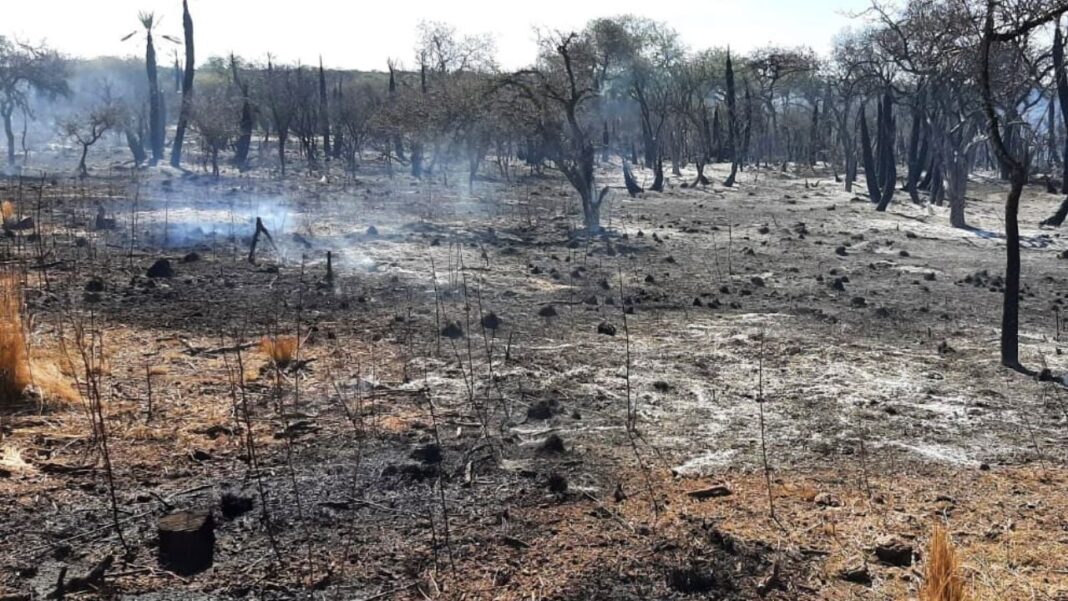 2291117-el-incendio-de-guasapampa-se-encuentra-contenido